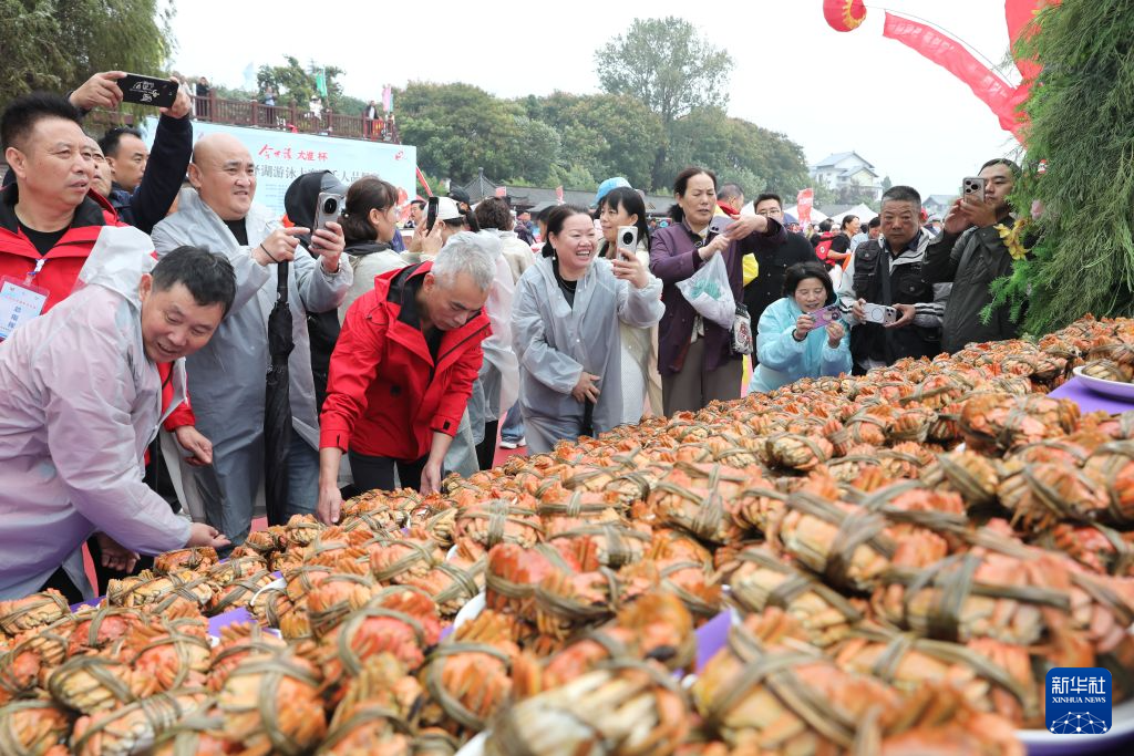 专业英国365上市公司服务